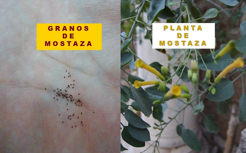 “¡A veces en lo insignificante y ordinario, se nos va la vida! Hoy Jesús nos invita a darle sentido a esos momentos !”