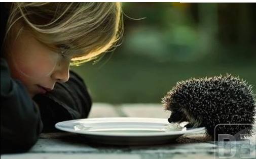 “Un matrimonio cristiano no es una pareja perfecta, más bien es una pareja que confía más en Dios que en sus perfecciones.”